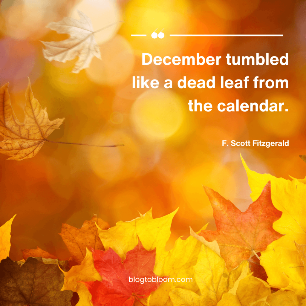 December Quotes to Welcome A Wonderful Time of the Year