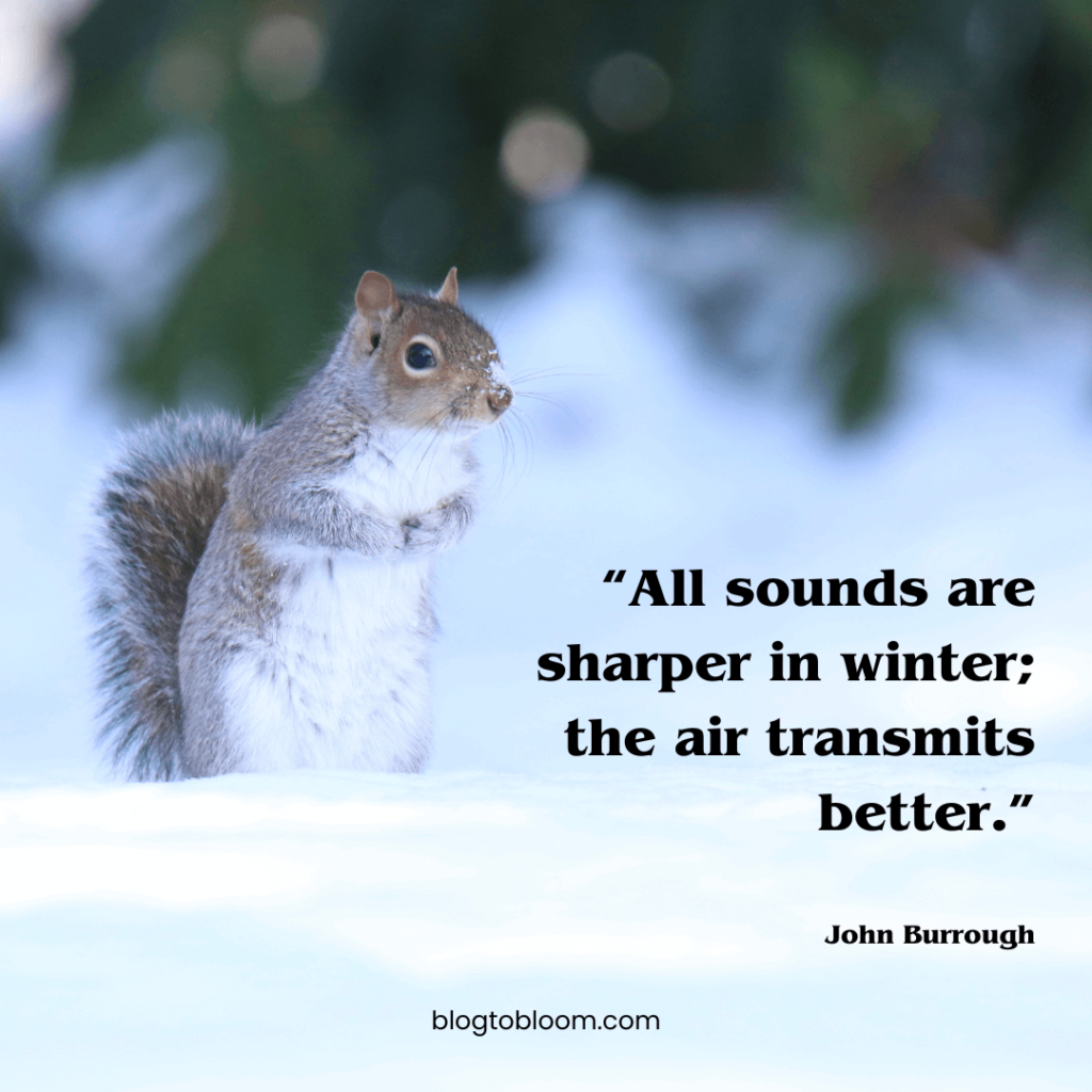 quotes for December blessings