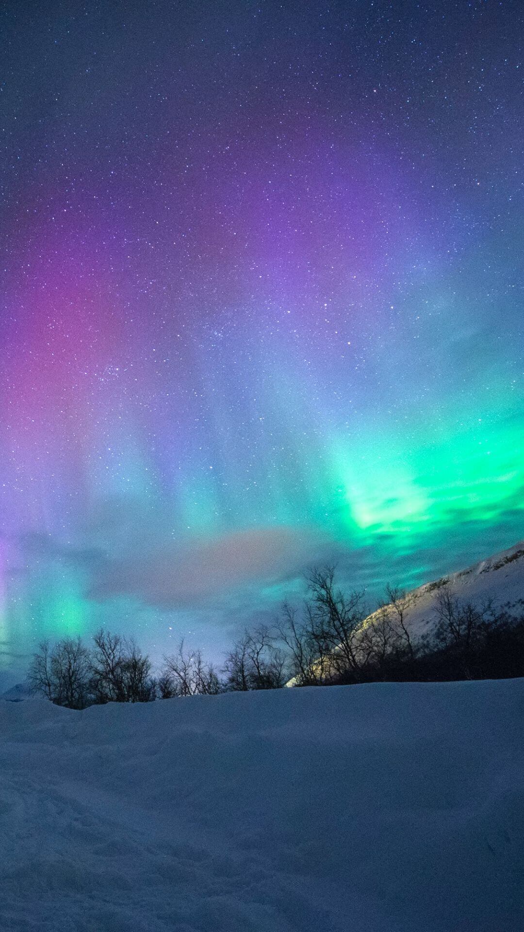 Free Winter Wallpapers for iPhone: Embracing the Season With 30 Aesthetic Winter Phone Backgrounds