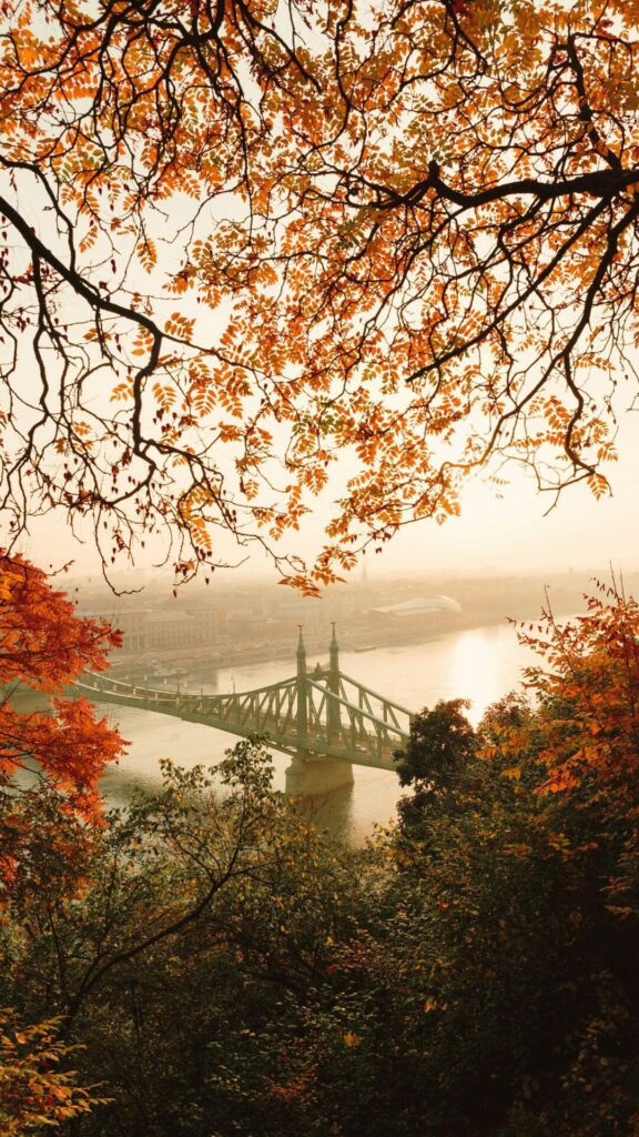 fall wallpapers for iphone misty morning bridge