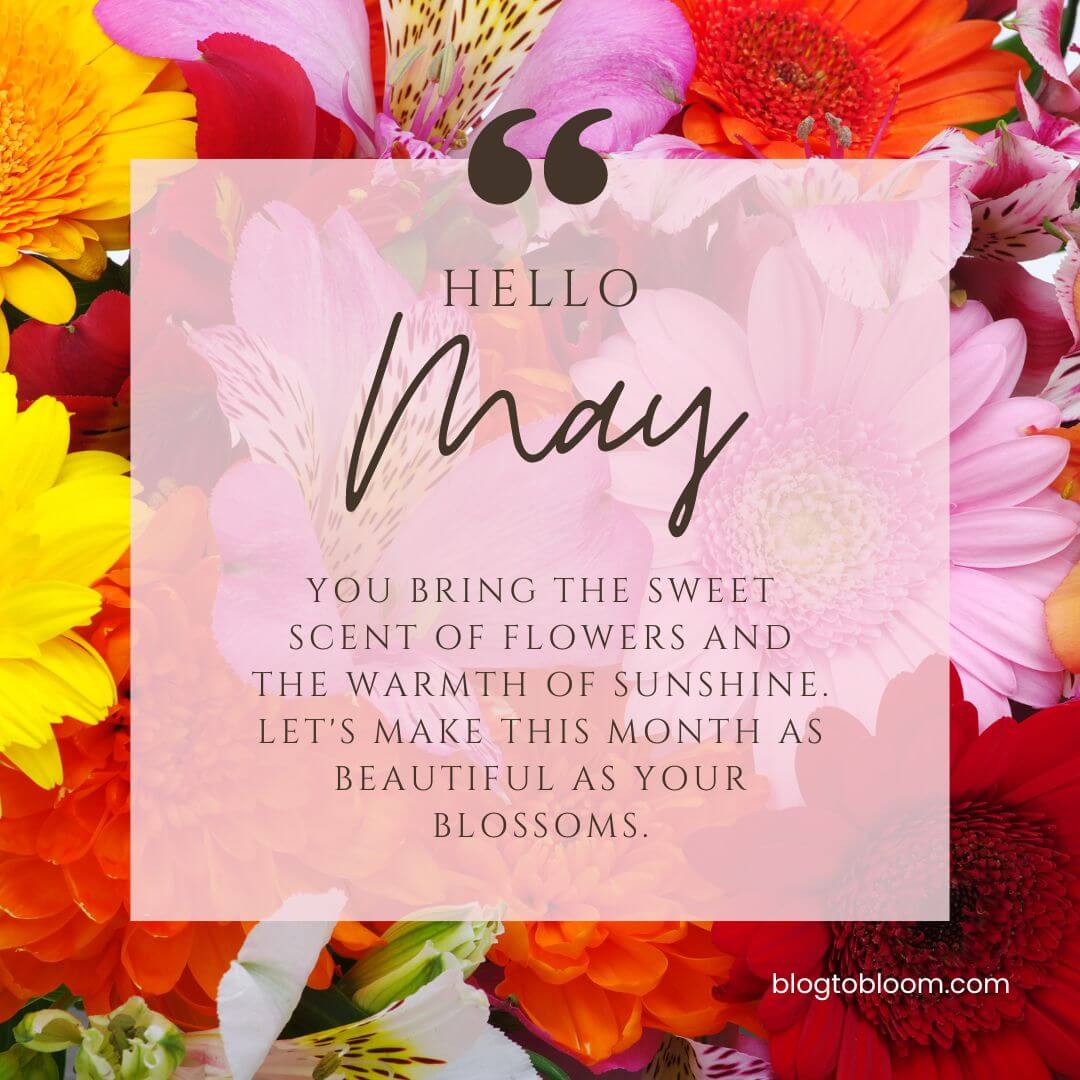 39 Hello May Quotes to Embrace the Blossoms of Time - Blog to Bloom