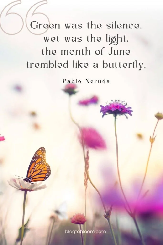 poetic quotes about June Pablo Neruda