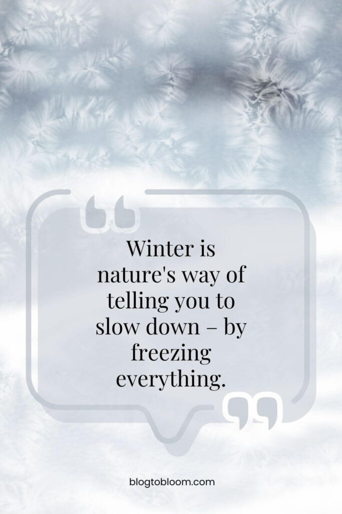 50+ Last Day of Winter Quotes to Bid Farewell to the Chill - Blog to Bloom